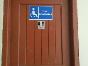 toilet disablilitas